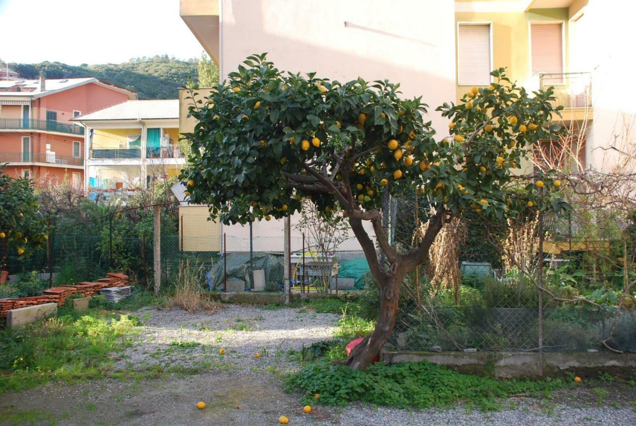 Palmaria Apartman Deiva Marina Kültér fotó